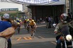 PICT2768.JPG